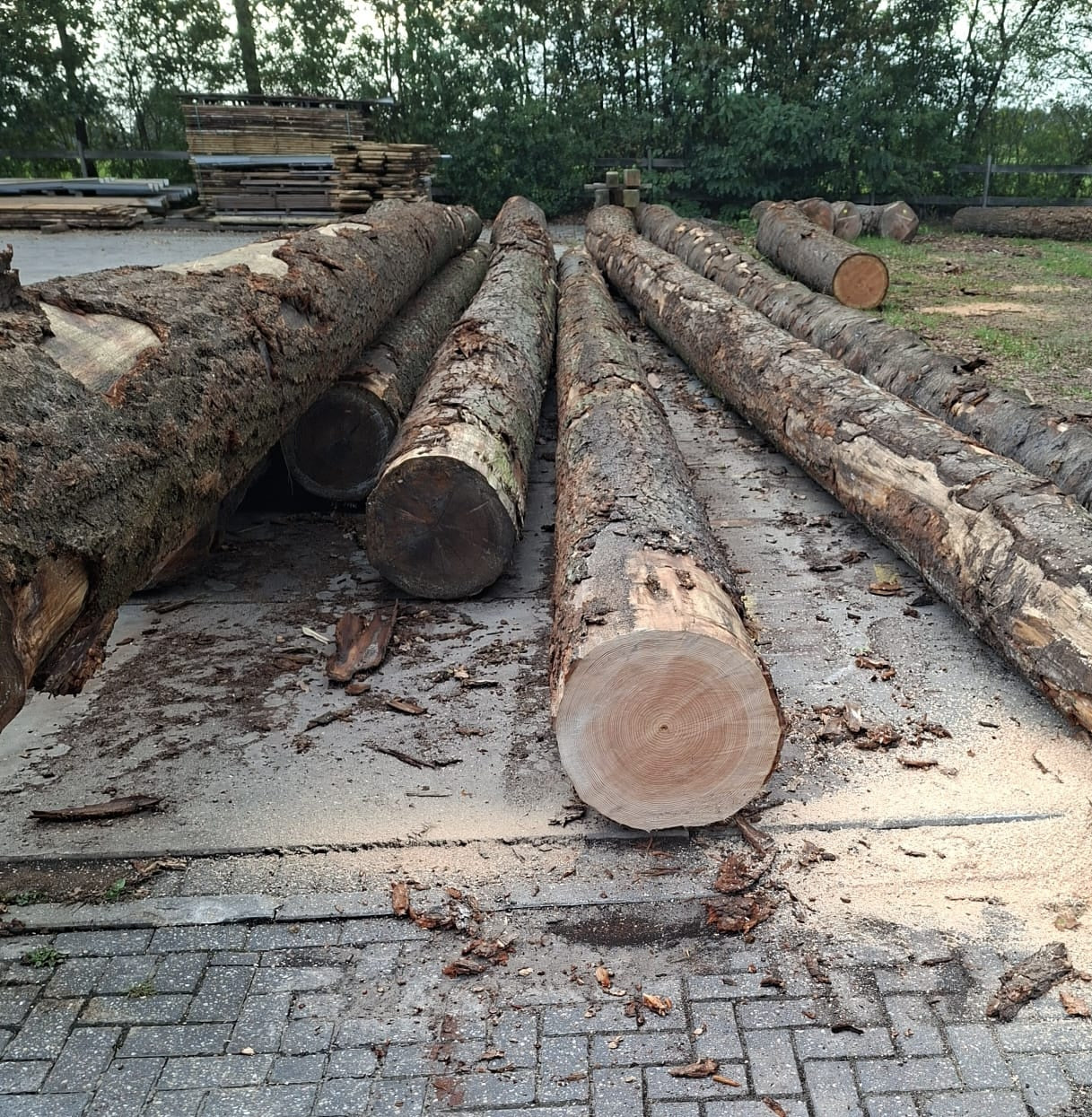 Balk Douglas hout 50x100mm
