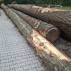 Balk Douglas hout 50x70mm