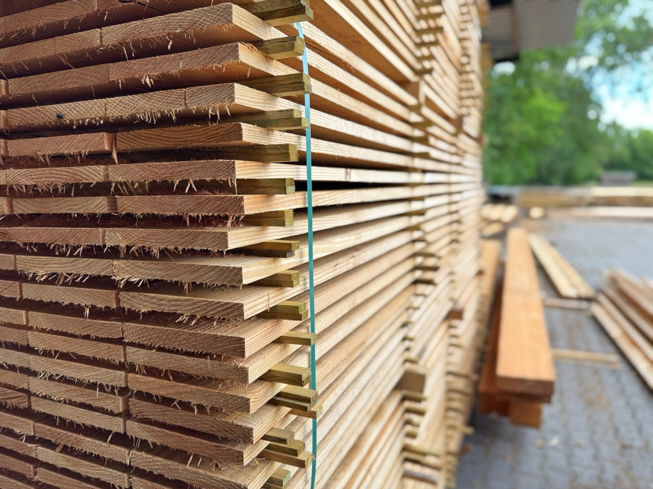 Plank Douglas hout 22x200mm