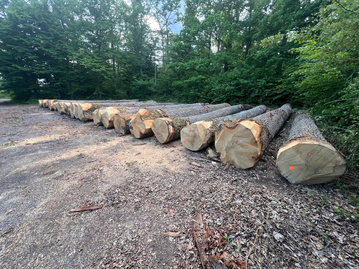 Balk Eiken hout 60x150mm