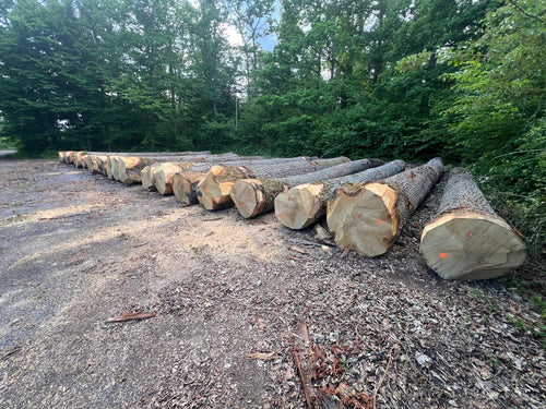 Balk Eiken hout 70x200mm
